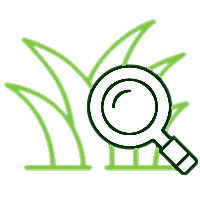 icon of magnifying glass looking at grass